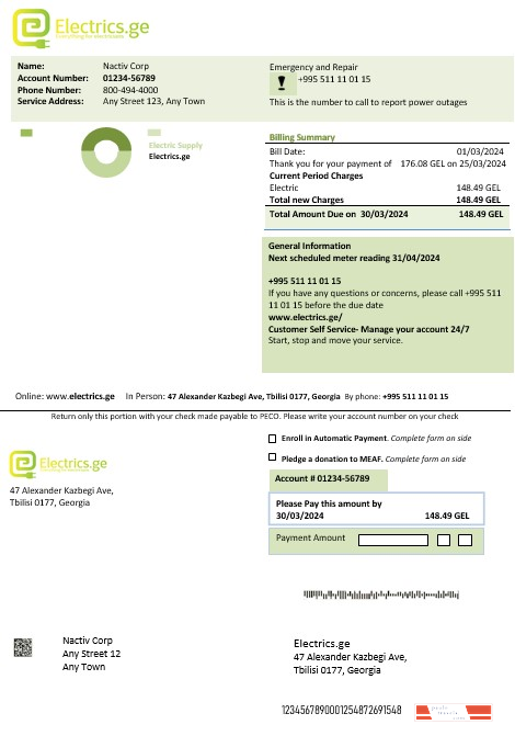 Georgia Electrics.ge electricity business bill template in Word and PDF formats1